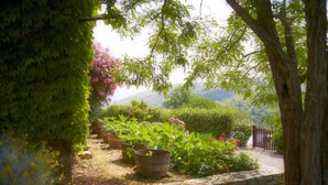A garden with potted plants and a stone wall. - Tregole (Castellina in Chianti)
