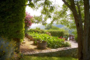 Jardin