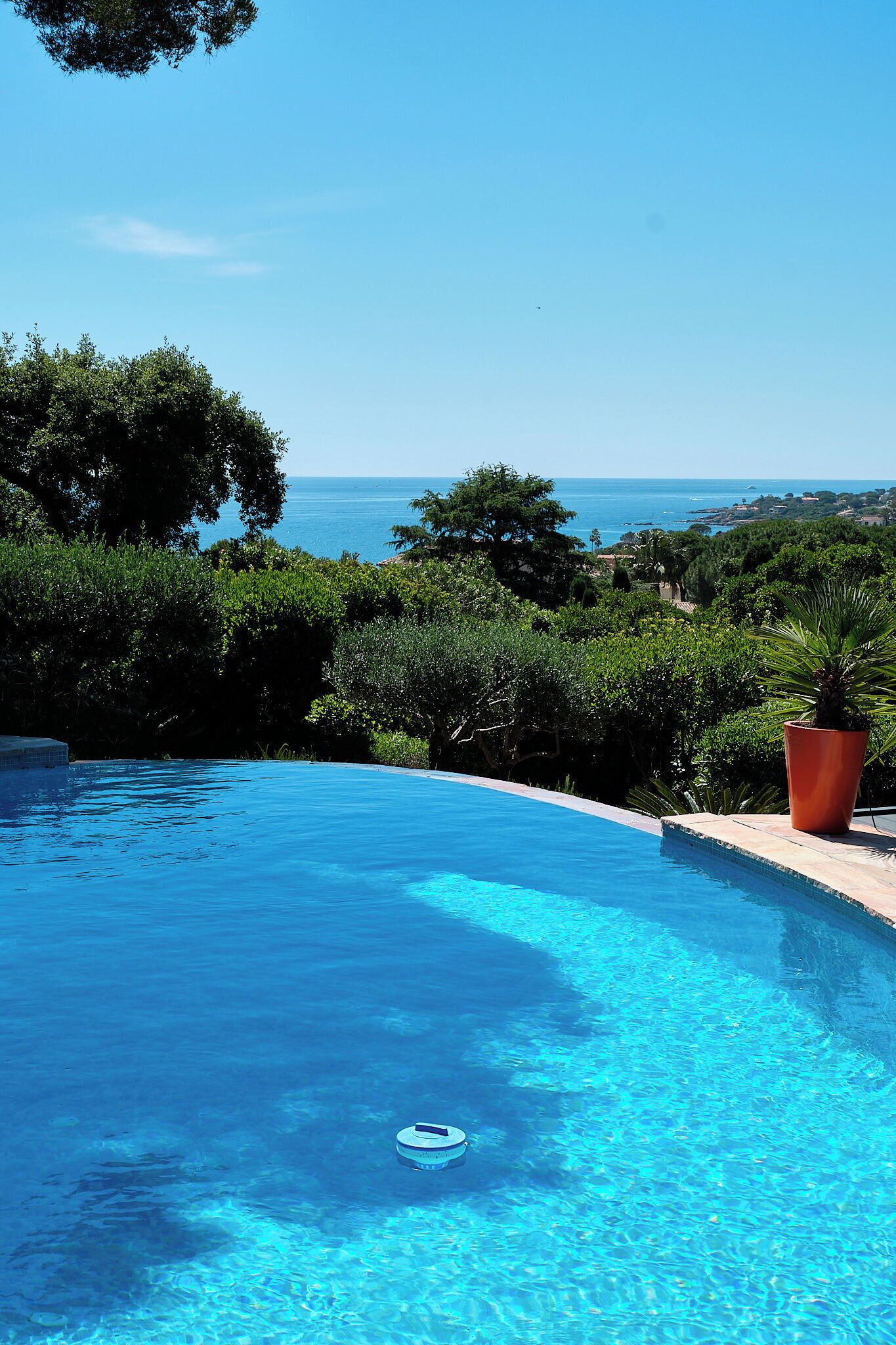 Villa La Crespina : piscine et vue mer