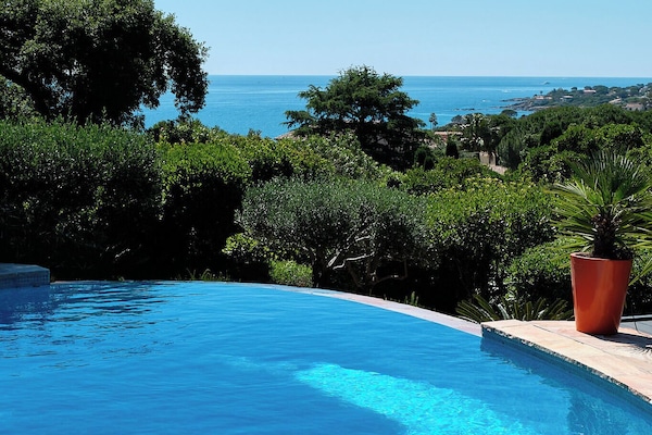 Villa La Crespina : piscine et vue mer