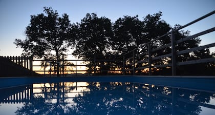 Family house 8-16 instead, peace and nature, swimming pool and park, pets