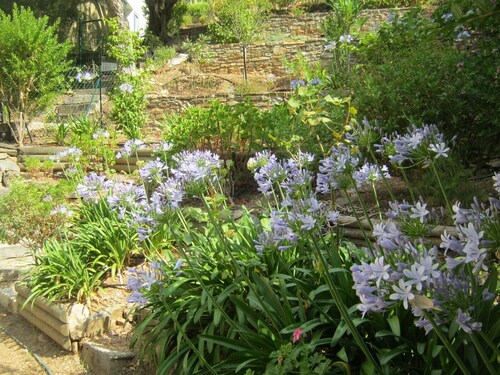 Le Lavandou  Aiguebelle -  Appartement climatisé dans villa  avec vue mer-WIFI