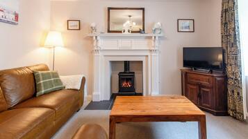 Una Smart TV, una chimenea, un reproductor de DVD, libros