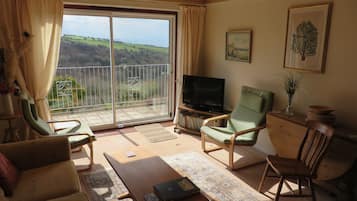 Télévision, lecteur de DVD, livres