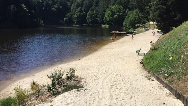 A sandy beach with a calm lake, surrounded by dense forest. There are a few people and some boats in the water.