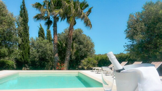 A poolside area with a clear view of the pool, surrounded by palm trees and other greenery. - Villa Gina - Torre San Giovanni with pool 5 minutes from the Maldives of Salento (Ugento)