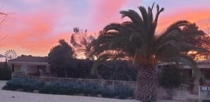Exterior - S'hort Des Mestre (campos, Mallorca)