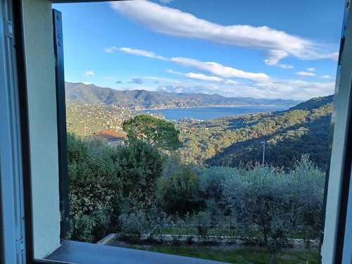 Quiet with view of the Tigulio Gulf and Santa Margherita Ligure.