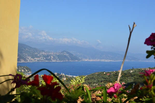 A coastal view with a mountain backdrop, a clear sky, and some flowers in the foreground.