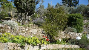 Ein Garten mit Steinmauern, verschiedenen Pflanzen und Bäumen.