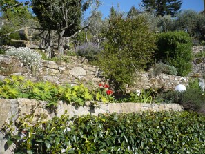 Property grounds - Quiet with view of the Tigulio Gulf and Santa Margherita Ligure. (Santa Margherita Ligure)