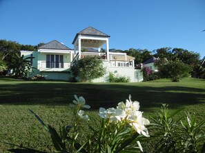 Property grounds -  Luxury hillside family retreat set in 3/4 acre tropical garden stunning views (Bolands)