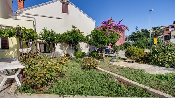 A residential area with a white house, a garden with various plants, and a pink flowering tree.