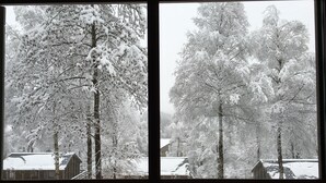 A window view of a snowy residential area with trees and parked cars.