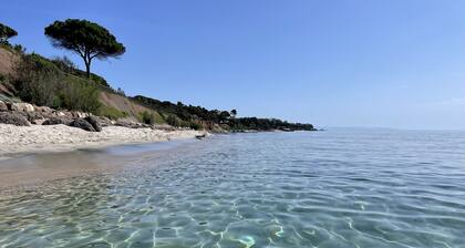 Eingebettet in einem Kiefernwald in der Nähe des Meeres