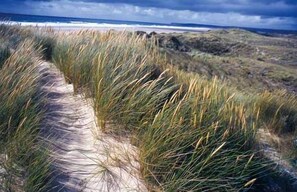 A coastal path with grass and dunes leading to the ocean. - Gîte des Fougères - Manoir de la Fieffe - The countryside in Cherbourg-en-Cotentin. (Cherbourg-En-Cotentin)