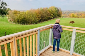 Game viewing - Besotel (Erkrath)