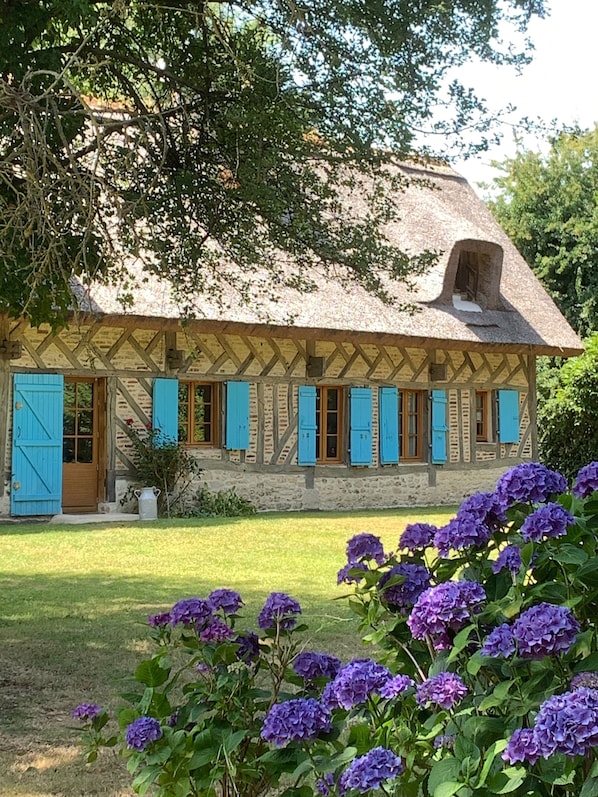 A traditional half-timbered house with a thatched roof, blue shutters, and a garden with purple flowers.