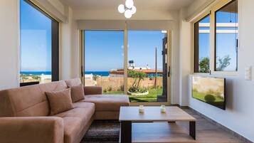 Télévision, cheminée, lecteur de DVD, table de tennis de table