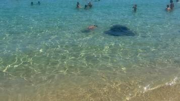 Aan het strand, ligstoelen aan het strand, strandlakens