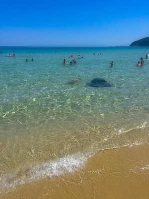 En la playa, camastros y toallas de playa 