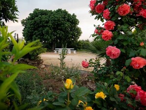 Garden view - B&B Giardino Isabella (Palagiano)