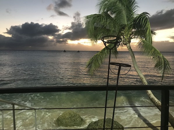 Beach nearby - **** SHIMMERS ****
A stunning, stylish West coast villa close to Mullins beach (Mullins)