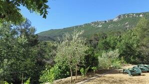 A garden area with a pathway, green benches, and a view of a mountainous landscape.