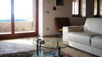 Älytelevisio, takka, DVD-soitin, kirjoja