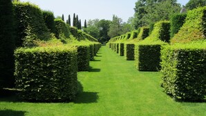 A meticulously maintained hedge maze with a clear path. - Gite au Manoir de Carlucet, 13th Century, between Sarlat and Montignac, Dordogne (Saint-Crepin-et-Carlucet)