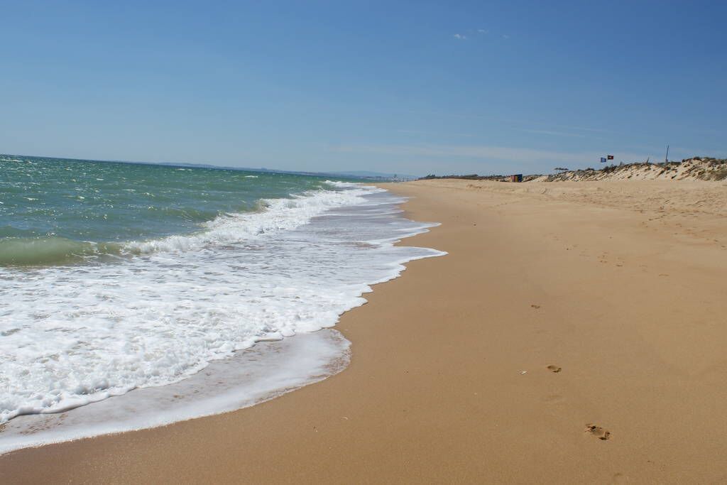 Playa en los alrededores, camastros y toallas de playa 