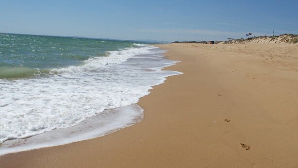 A sandy beach with gentle waves, a clear sky, and a distant flag.
