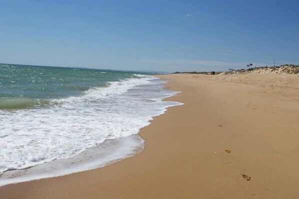 Beach nearby, sun loungers, beach towels