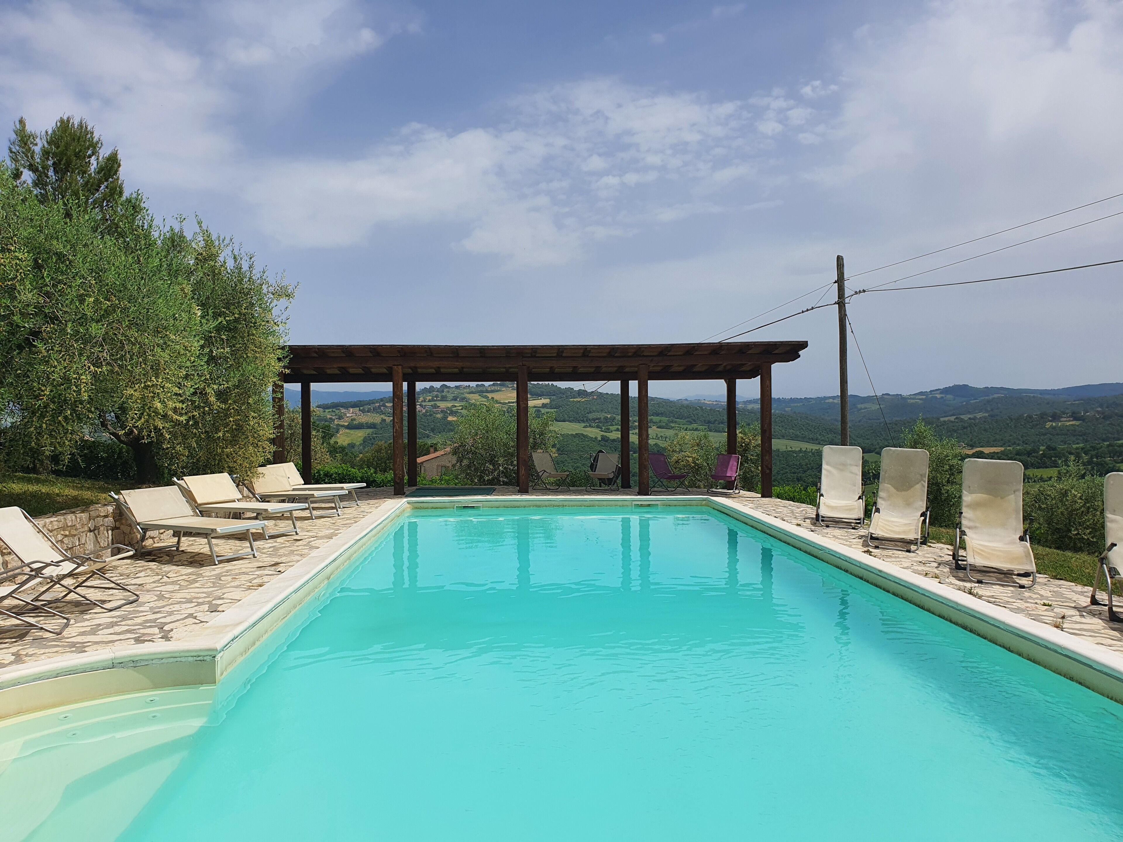 A rectangular swimming pool with a pergola overhead, surrounded by lounge chairs.