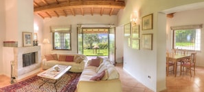 Una televisión, una chimenea, libros, una videoteca