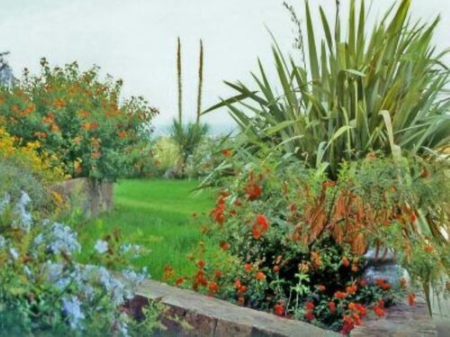 house / villa - CALVI