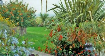 house / villa - CALVI