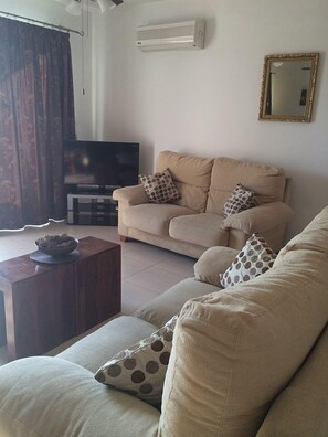 Smart TV, reproductor de DVD, libros, videoteca