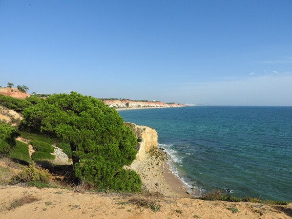 Plage à proximité, chaises longues, serviettes de plage