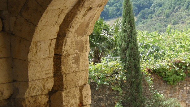 Un arco de piedra que da acceso a un jardín exuberante con diversas plantas y una vista distante de una colina boscosa.
