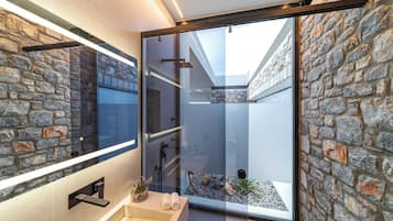 Shower, hydromassage showerhead, designer toiletries, hair dryer