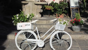Een witte fiets met een mandje en een bordje met de tekst 'TROREA' geparkeerd op een geplaveid straatje.