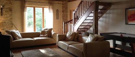 TV, fireplace, video games, DVD player