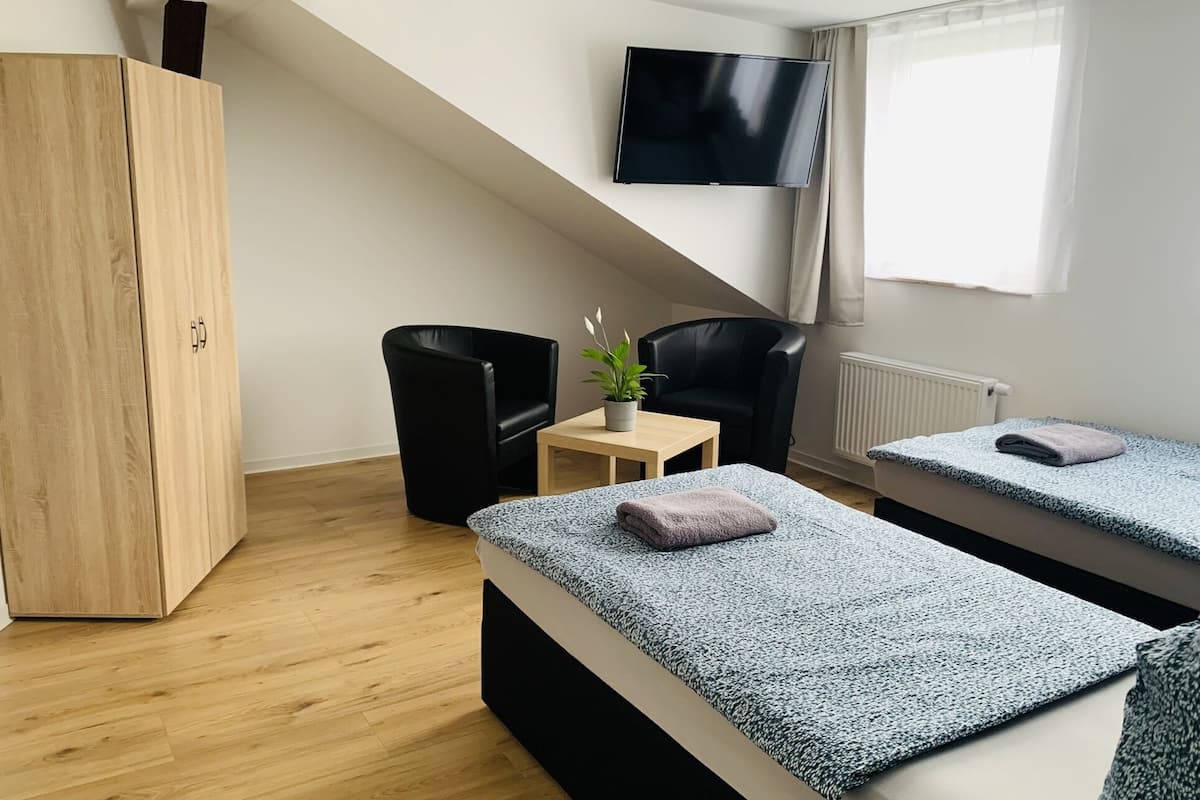 A bedroom with two beds, a TV, a wardrobe, a small table with a plant, and a radiator.