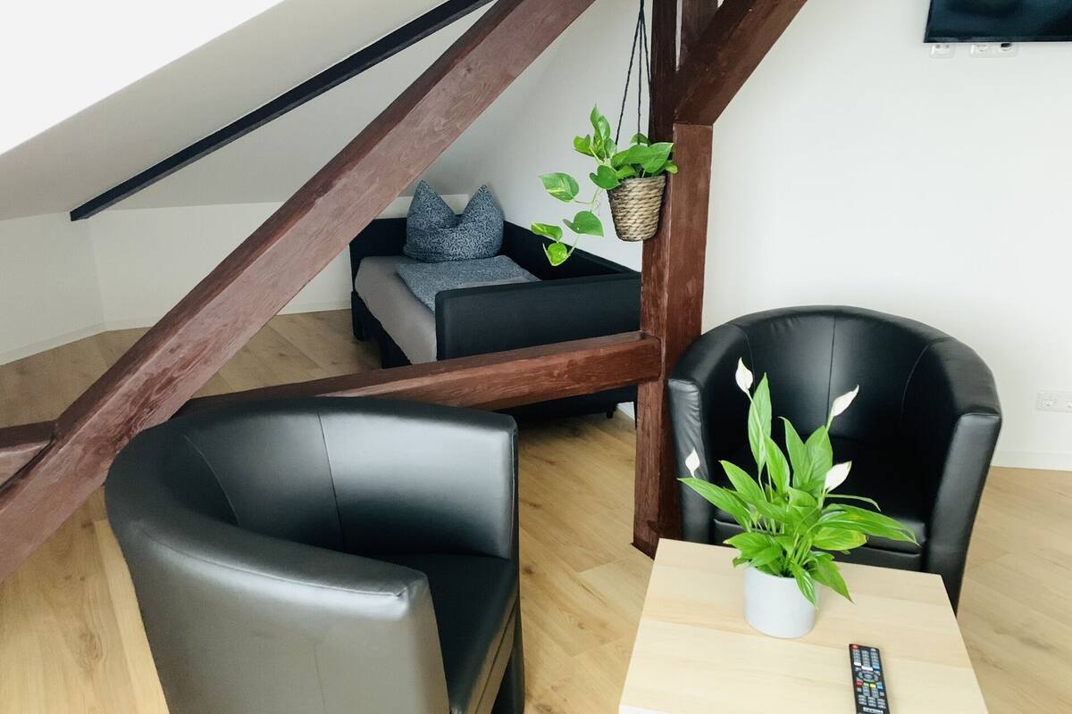 A modern loft-style living space with a wooden ceiling, a sofa, two black leather chairs, a small table with a potted plant, and a hanging plant basket.