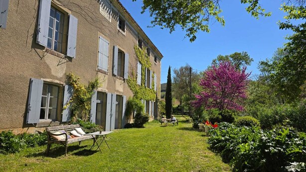 Un bâtiment doté d’un jardin, d’un banc et d’un arbre aux fleurs violettes.