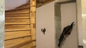 Un escalier en bois au design rustique, un luminaire fixé au mur et un motif décoratif représentant un paon.