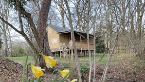 A wooden cabin with a balcony, surrounded by trees and a pond.
