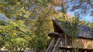 A wooden cabin with a thatched roof, surrounded by trees. There are two lounge chairs under a tree.
