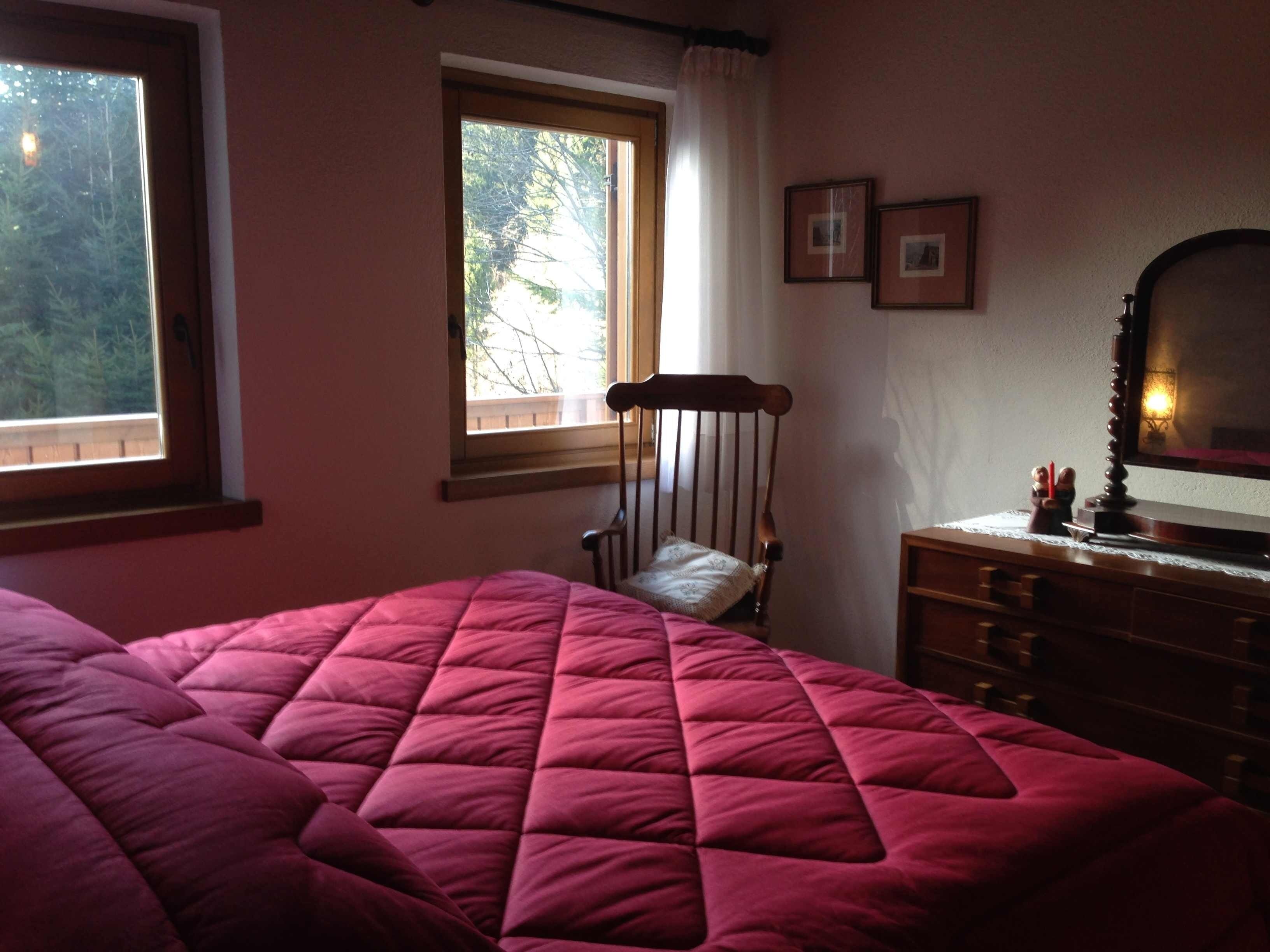  In the Dolomites of Trentino with your 4-legged friends